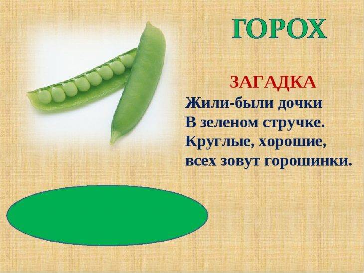 Загадки разных народов с ответами. загадки для детей и взрослых с отгадками. детские загадки. загадки онлайн бесплатно. русские, украинские загадки.