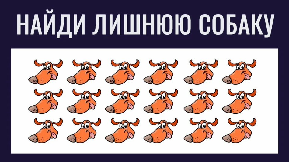 Загадка про хомяков - разгадывать головоломки онлайн