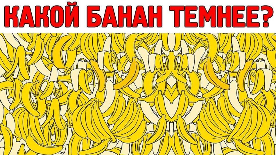 Загадка про хомяков - разгадывать головоломки онлайн