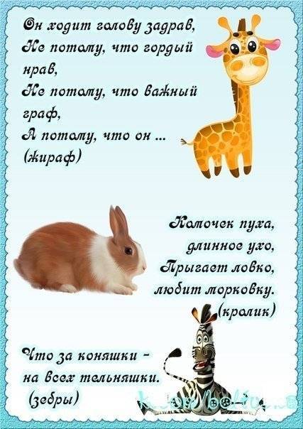 Олеся емельянова. книга загадок для детей (детские загадки).