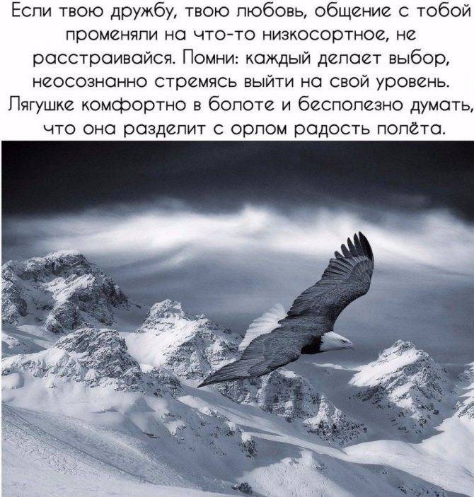 Пословицы и поговорки про март читать онлайн бесплатно