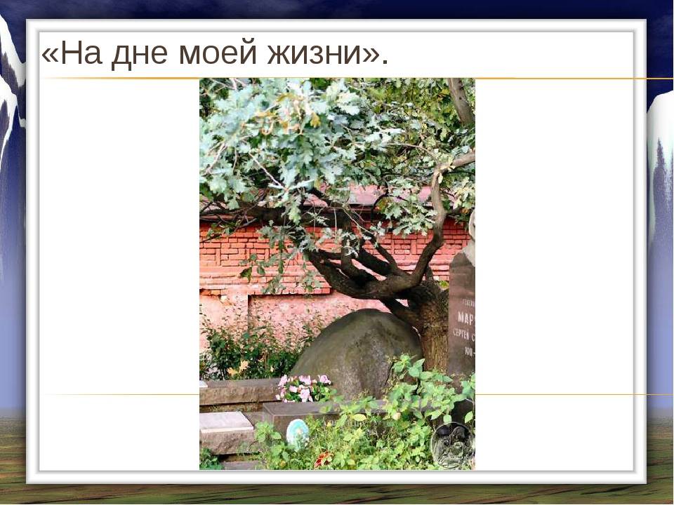На дне моей жизни анализ стихотворения Твардовского - онлайн