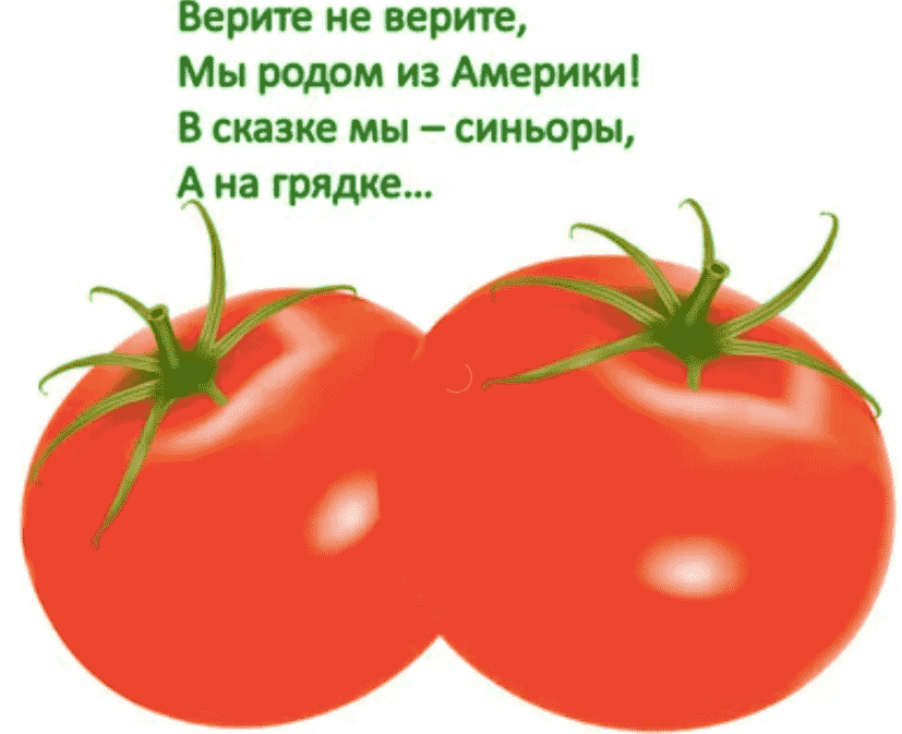 Загадки про дроби для детей к уроку алгебры и для веселья