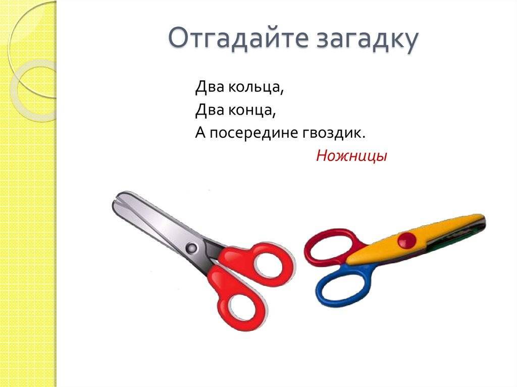 Загадки с ответами про водных обитателей - детям и родителям