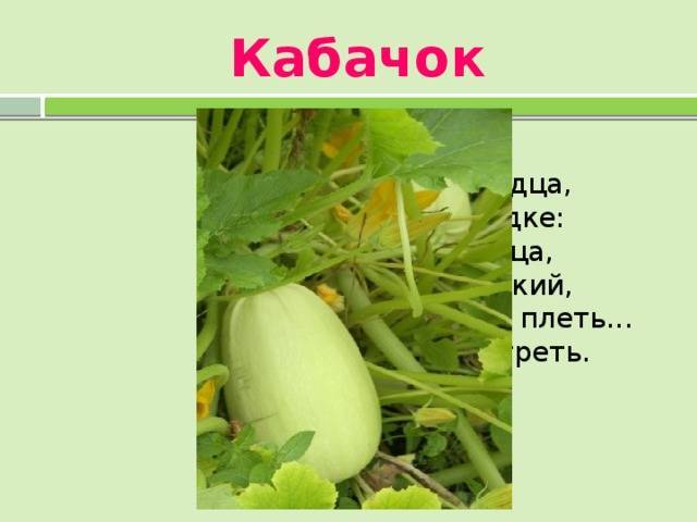 Логические загадки про овощи и фрукты
