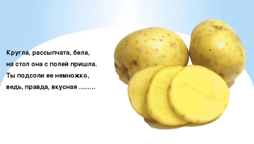 Загадки про дроби для детей к уроку алгебры и для веселья