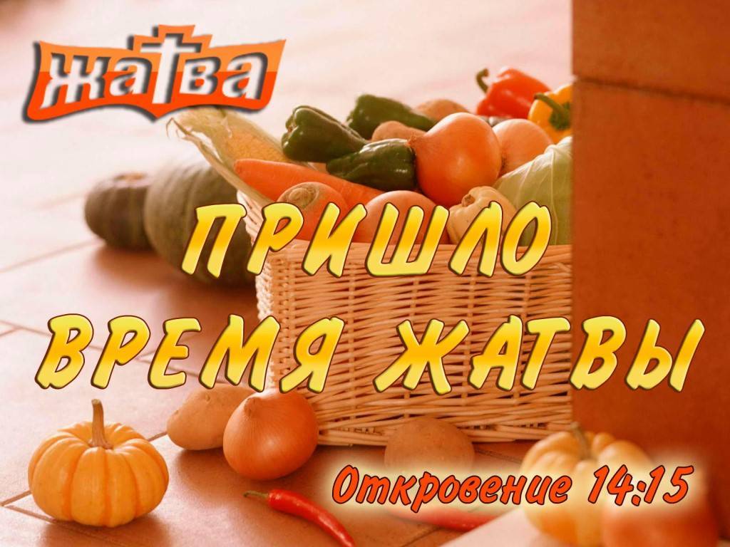 Стихи на 9 мая. подборка красивых стихотворений ко дню победы до слез