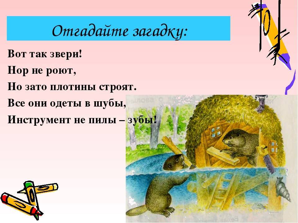 Загадки про животных (с ответами): 500 cамых популярных загадок о животных ~ я happy мама